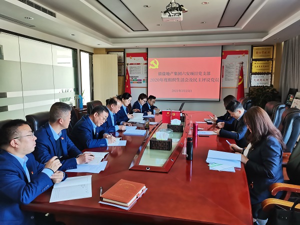 杨晓彬到徽盐地产六安项目党支部督导2020年度组织生活会