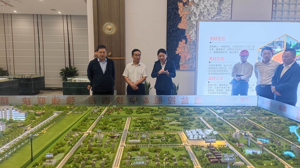 王思军到省城市更新等三家公司六安项目调研督导工作